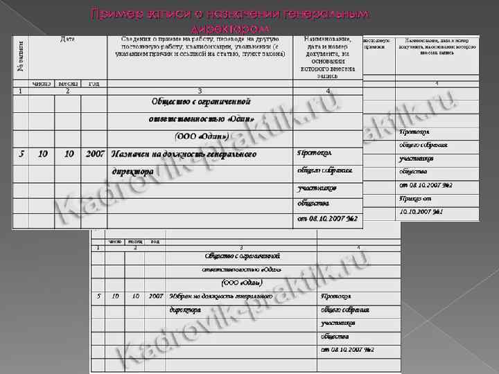 Пример записи о назначении генеральным директором 