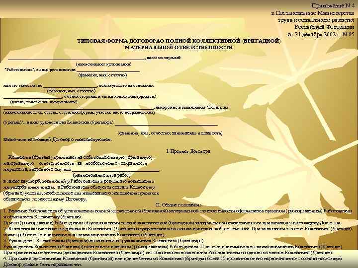 Приложение N 4 к Постановлению Министерства труда и социального развития Российской Федерации от 31