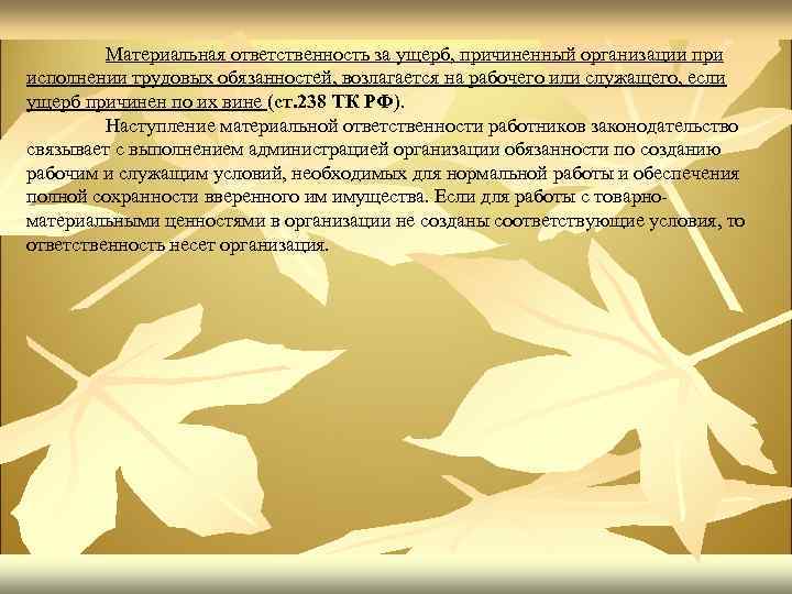 Материальная ответственность за ущерб, причиненный организации при исполнении трудовых обязанностей, возлагается на рабочего или