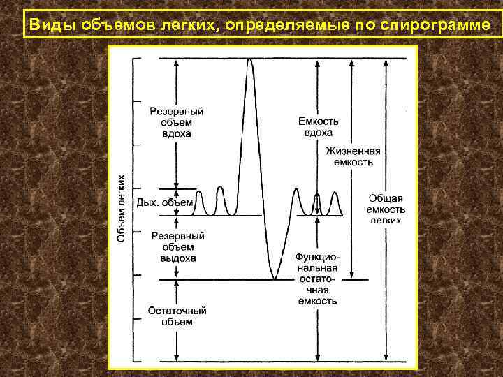 Виды объемов легких, определяемые по спирограмме 