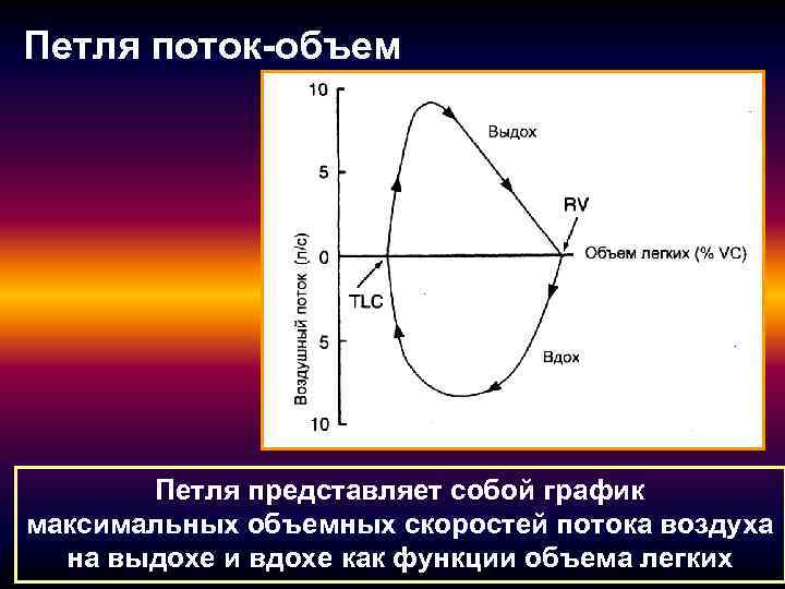 Петля поток-объем Петля представляет собой график максимальных объемных скоростей потока воздуха на выдохе и