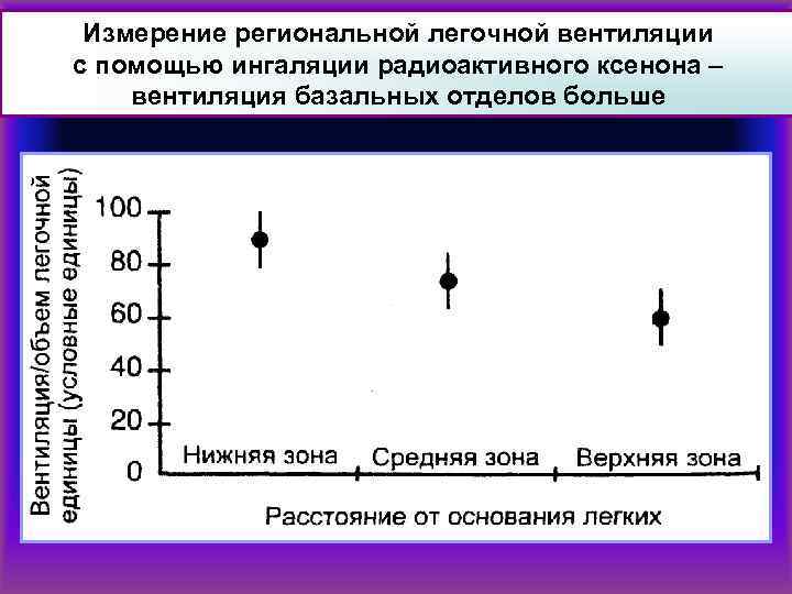 Измерение региональной легочной вентиляции с помощью ингаляции радиоактивного ксенона – вентиляция базальных отделов больше