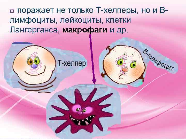 поражает не только Т-хелперы, но и Влимфоциты, лейкоциты, клетки Лангерганса, макрофаги и др. p