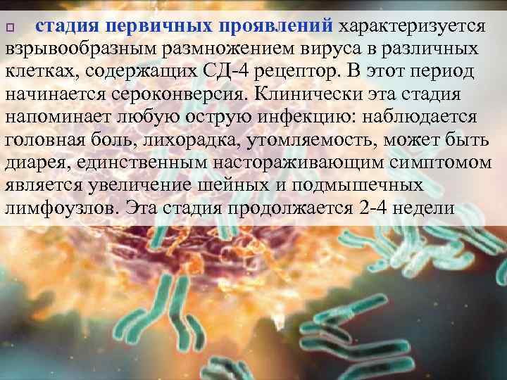 стадия первичных проявлений характеризуется взрывообразным размножением вируса в различных клетках, содержащих СД-4 рецептор. В