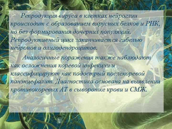 Репродукция вируса в клетках нейроглии происходит с образованием вирусных белков и РНК, но без