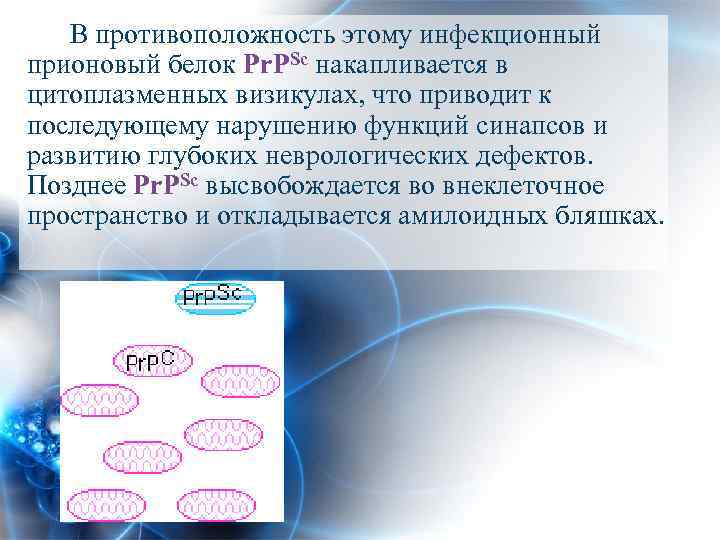 В противоположность этому инфекционный прионовый белок Pr. PSc накапливается в цитоплазменных визикулах, что приводит