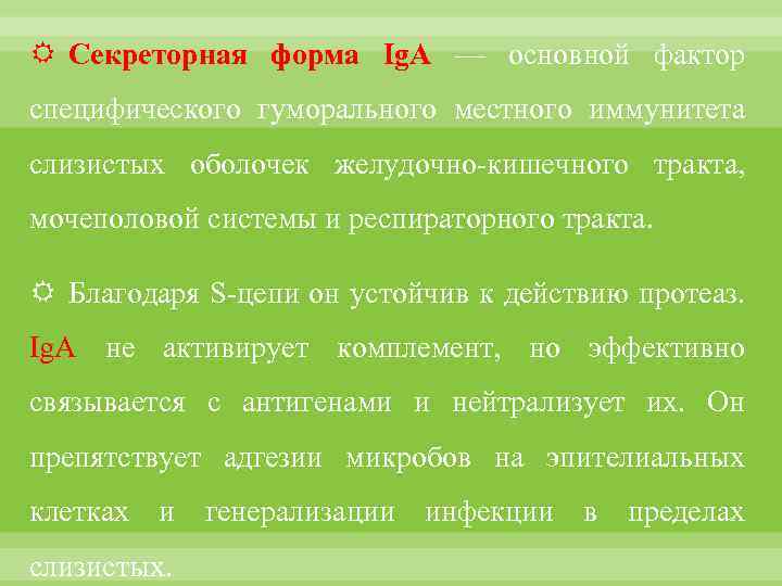  Секреторная форма Ig. A — основной фактор специфического гуморального местного иммунитета слизистых оболочек