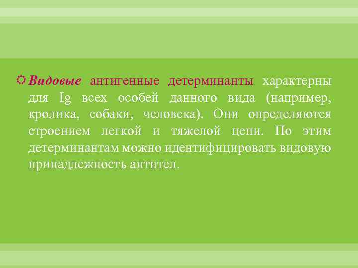  Видовые антигенные детерминанты характерны для Ig всех особей данного вида (например, кролика, собаки,