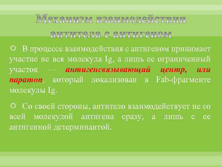  В процессе взаимодействия с антигеном принимает участие не вся молекула Ig, а лишь