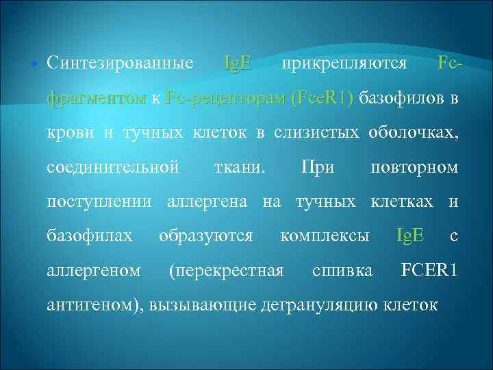  Синтезированные Ig. E прикрепляются Fc фрагментом к Fc peцепторам (Fce. R 1) базофилов