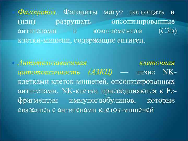  Фагоцитоз. Фагоциты могут поглощать и (или) разрушать опсонизированные антителами и комплементом (С 3