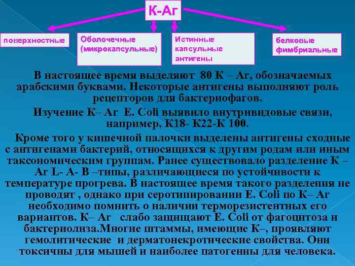 К-Аг поверхностные Оболочечные (микрокапсульные) Истинные капсульные антигены белковые фимбриальные В настоящее время выделяют 80