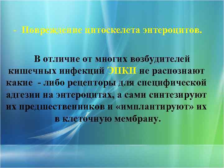 - Повреждение цитоскелета энтероцитов. В отличие от многих возбудителей кишечных инфекций ЭПКП не распознают