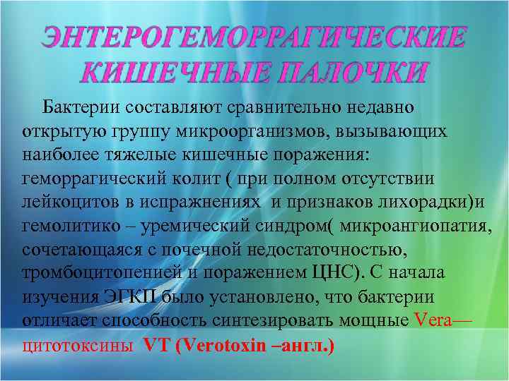 Бактерии составляют сравнительно недавно открытую группу микроорганизмов, вызывающих наиболее тяжелые кишечные поражения: геморрагический колит