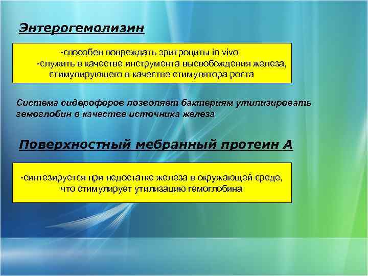 Энтерогемолизин -способен повреждать эритроциты in vivo -служить в качестве инструмента высвобождения железа, стимулирующего в