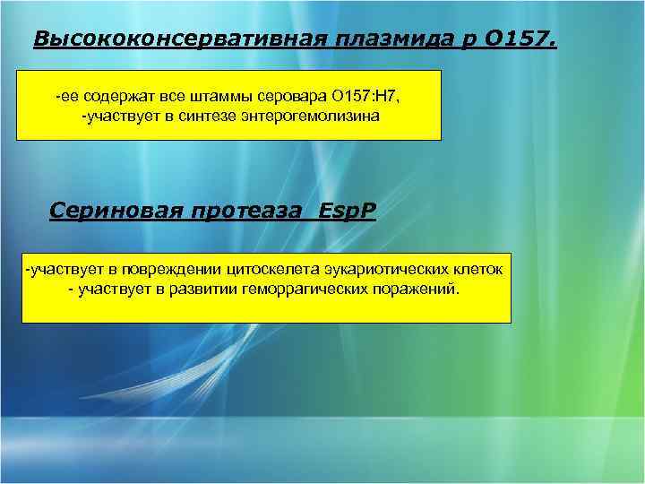 Высококонсервативная плазмида p О 157. -ее содержат все штаммы серовара О 157: Н 7,