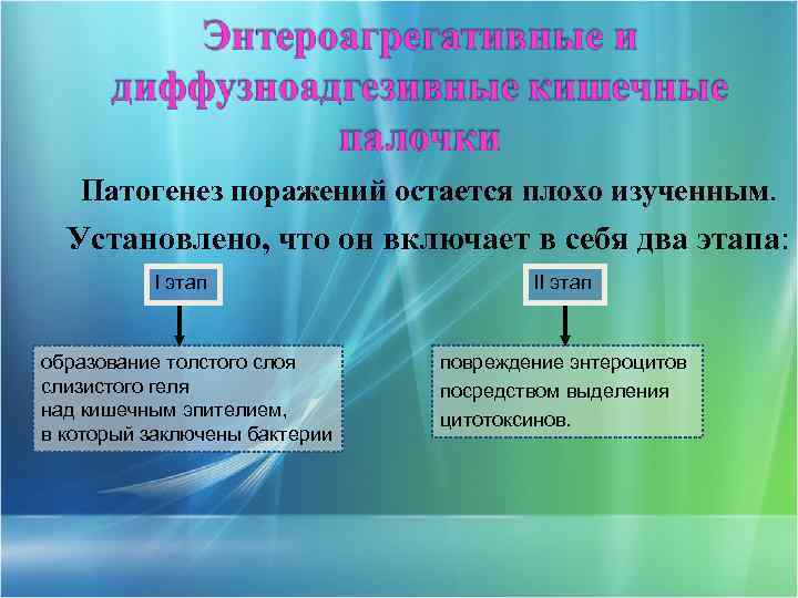 Патогенез поражений остается плохо изученным. Установлено, что он включает в себя два этапа: I