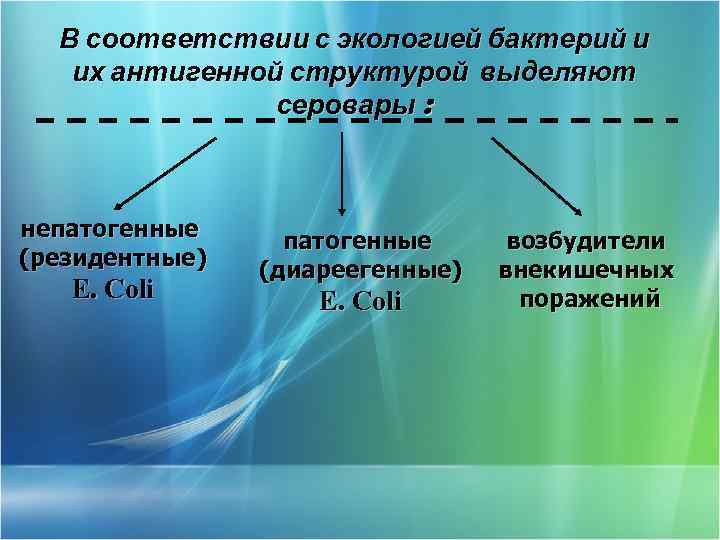 В соответствии с экологией бактерий и их антигенной структурой выделяют серовары : непатогенные (резидентные)