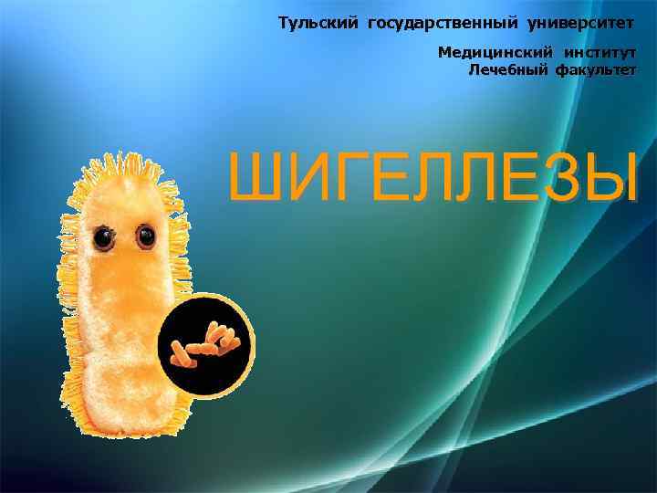 Тульский государственный университет Медицинский институт Лечебный факультет ШИГЕЛЛЕЗЫ 