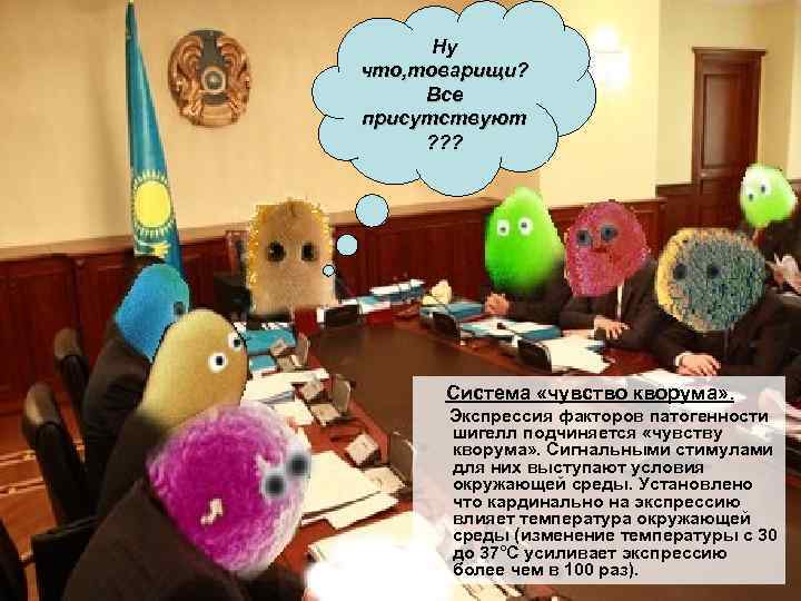 Ну что, товарищи? Все присутствуют ? ? ? Система «чувство кворума» . Экспрессия факторов