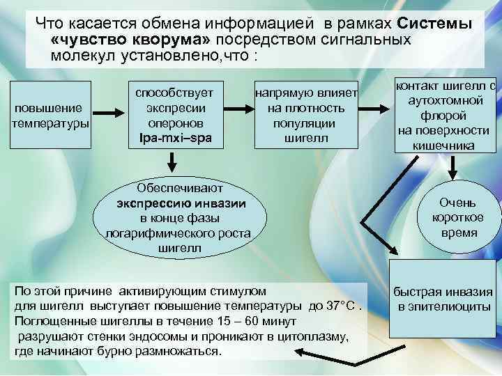 Что касается обмена информацией в рамках Системы «чувство кворума» посредством сигнальных молекул установлено, что
