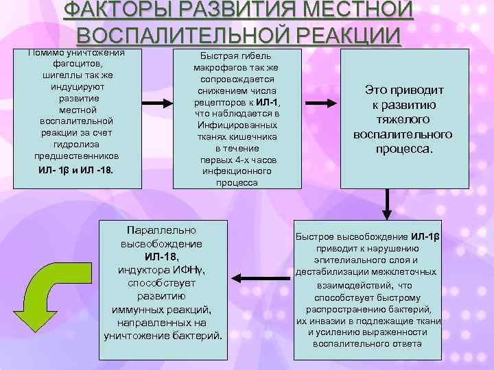 ФАКТОРЫ РАЗВИТИЯ МЕСТНОЙ ВОСПАЛИТЕЛЬНОЙ РЕАКЦИИ Помимо уничтожения фагоцитов, шигеллы так же индуцируют развитие местной