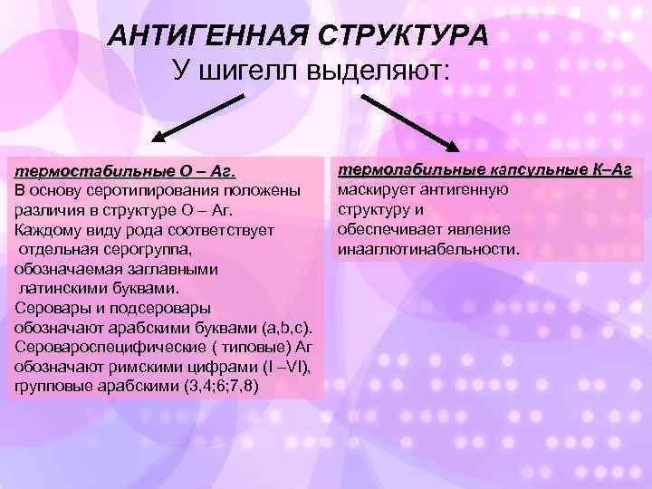 АНТИГЕННАЯ СТРУКТУРА У шигелл выделяют: термостабильные О – Aг. В основу серотипирования положены различия