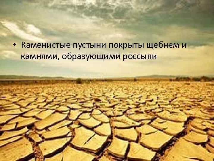  • Каменистые пустыни покрыты щебнем и камнями, образующими россыпи 