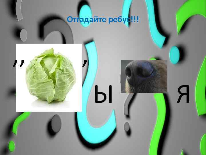 Отгадайте ребус!!! , , , Ы Я 