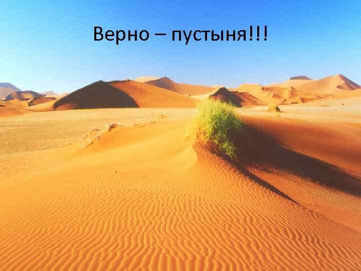 Верно – пустыня!!! 