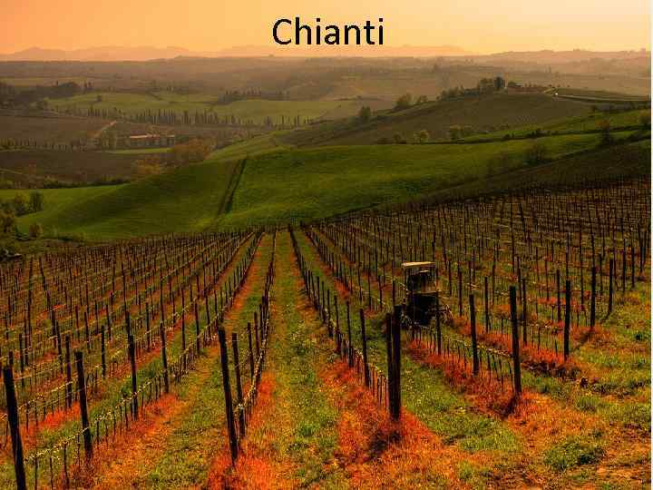 Chianti 