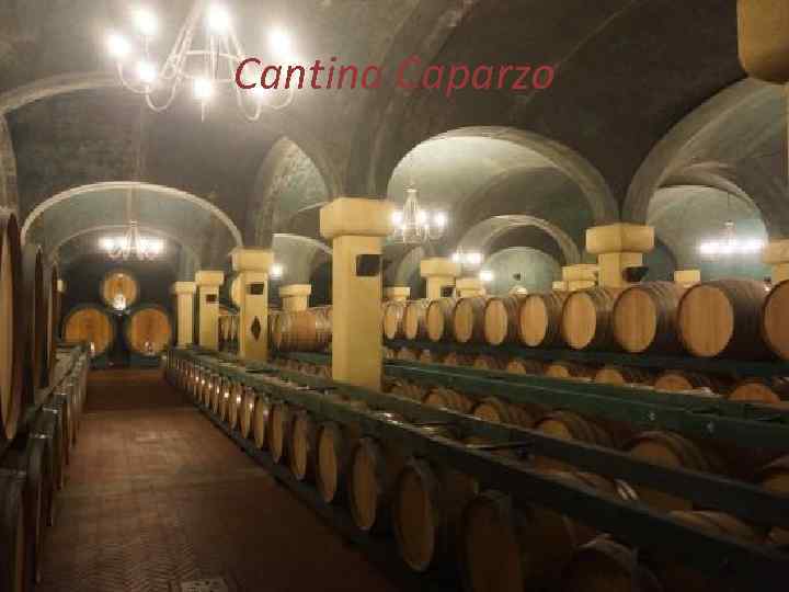 Cantina Caparzo 