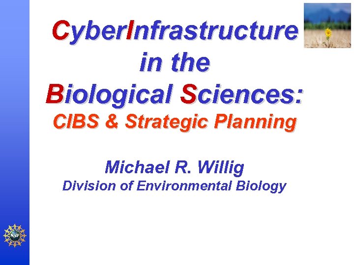 Cyber. Infrastructure in the Biological Sciences: CIBS & Strategic Planning Michael R. Willig Division