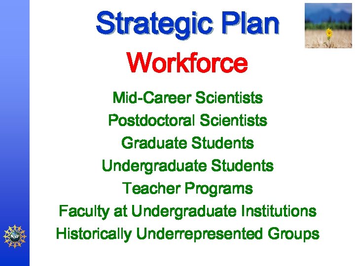 Strategic Plan Workforce Mid-Career Scientists Postdoctoral Scientists Graduate Students Undergraduate Students Teacher Programs Faculty
