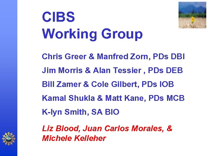 CIBS Working Group Chris Greer & Manfred Zorn, PDs DBI Jim Morris & Alan