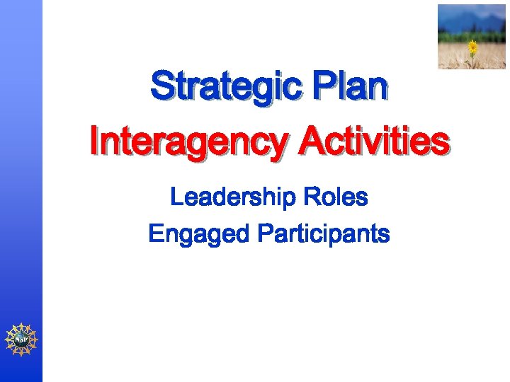 Strategic Plan Interagency Activities Leadership Roles Engaged Participants 