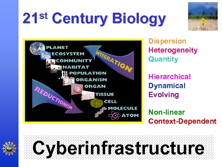 21 st Century Biology Dispersion Heterogeneity Quantity Hierarchical Dynamical Evolving Non-linear Context-Dependent Cyberinfrastructure 