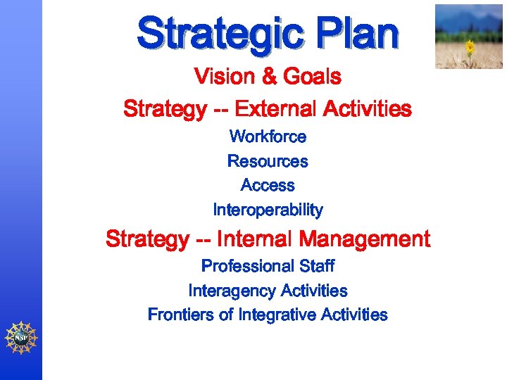 Strategic Plan Vision & Goals Strategy -- External Activities Workforce Resources Access Interoperability Strategy