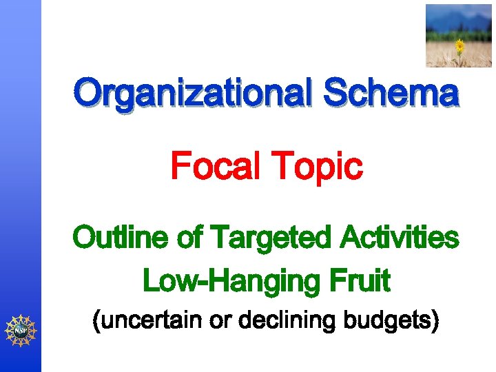 Organizational Schema Focal Topic Outline of Targeted Activities Low-Hanging Fruit (uncertain or declining budgets)