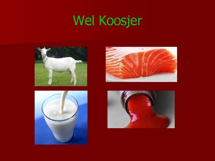 Wel Koosjer 