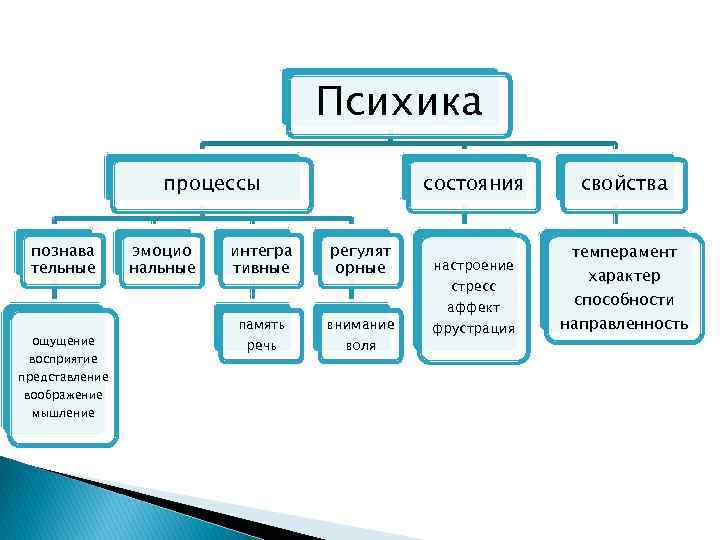 Психика процессы познава тельные ощущение восприятие представление воображение мышление эмоцио нальные интегра тивные память