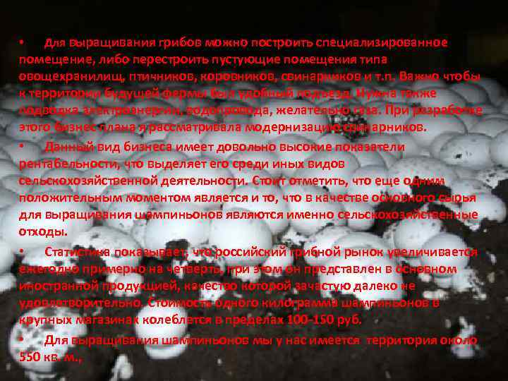  • Для выращивания грибов можно построить специализированное помещение, либо перестроить пустующие помещения типа