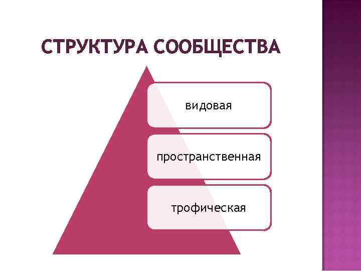 СТРУКТУРА СООБЩЕСТВА видовая пространственная трофическая 