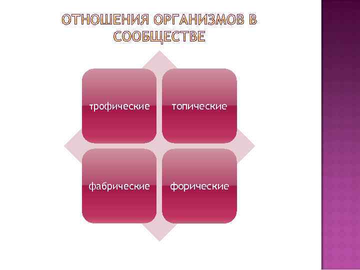 трофические топические фабрические форические 