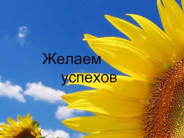 Желаем успехов 