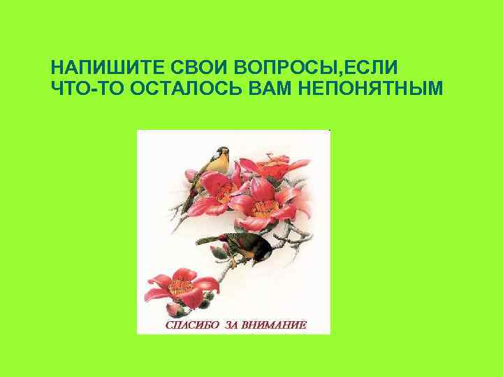 НАПИШИТЕ СВОИ ВОПРОСЫ, ЕСЛИ ЧТО-ТО ОСТАЛОСЬ ВАМ НЕПОНЯТНЫМ 