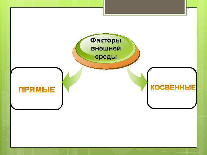 Факторы внешней среды человека. Внешние экологические связи Италии.