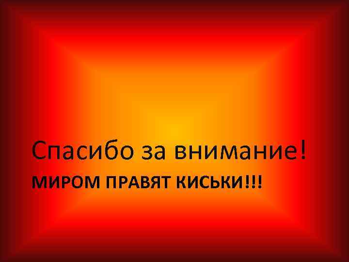 Спасибо за внимание! МИРОМ ПРАВЯТ КИСЬКИ!!! 