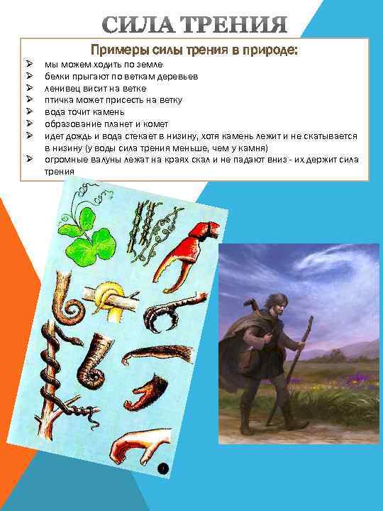 Примеры силы трения в природе: Ø Ø Ø Ø мы можем ходить по земле