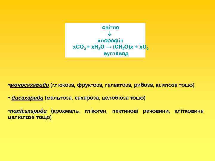 світло хлорофіл x. CO 2 + x. H 2 O → (CH 2 O)x